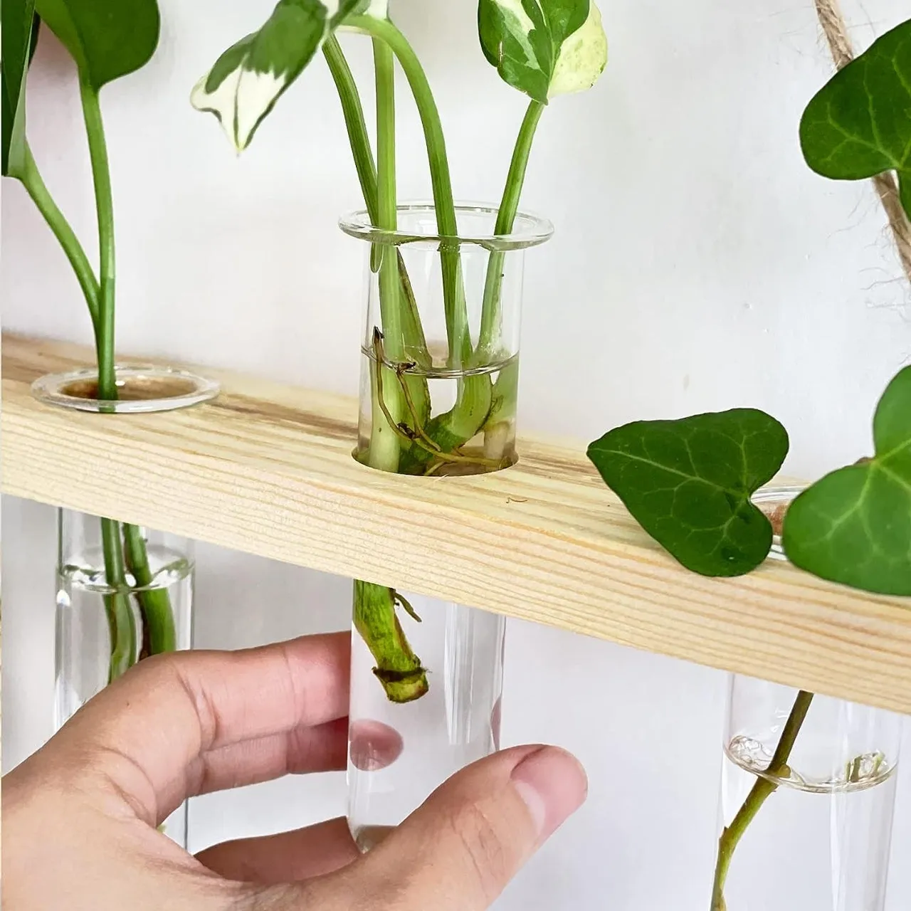 2-Tier Wall Hanging Test Tube Planter