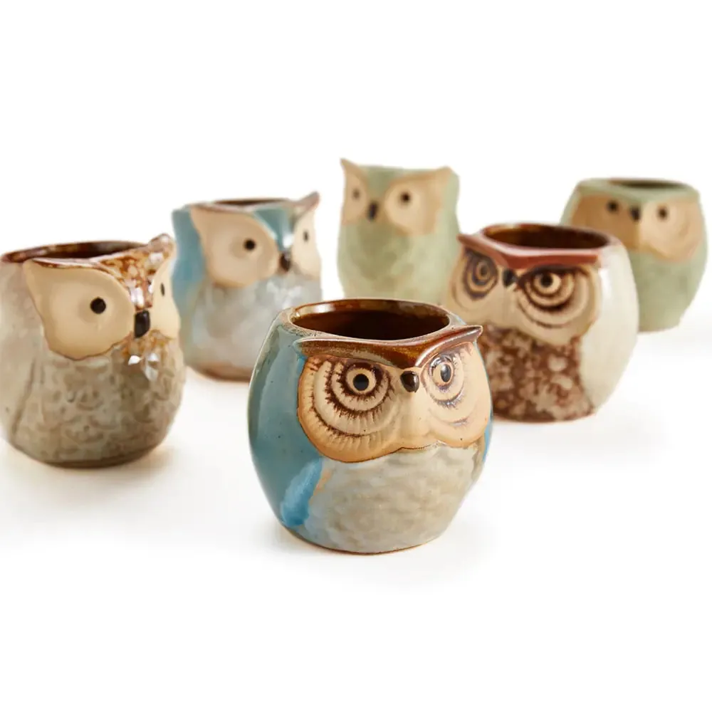 6-Piece Owl Pot Ceramic Glaze Base Set - Whimsical Home Decor for Plant Lovers