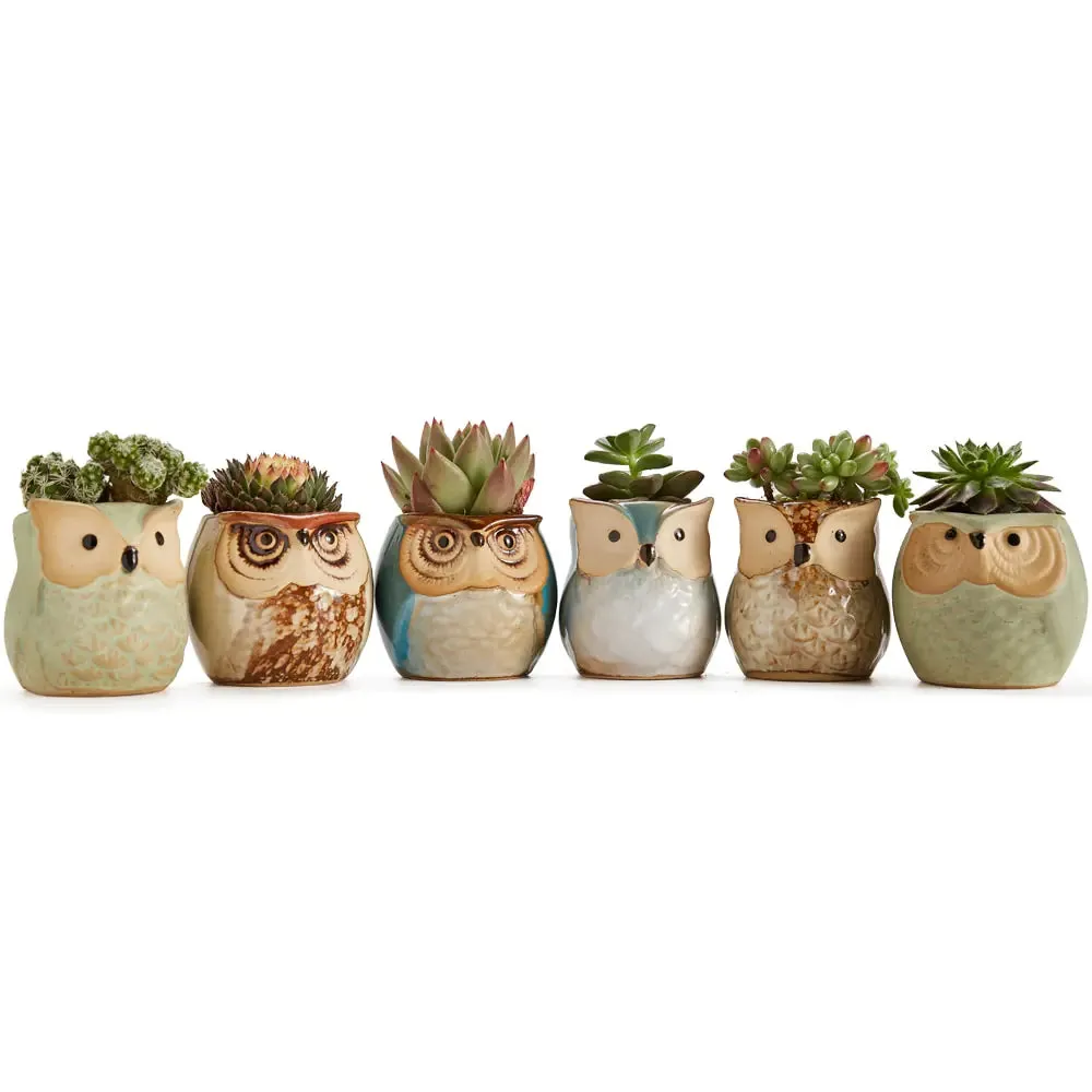 6-Piece Owl Pot Ceramic Glaze Base Set - Whimsical Home Decor for Plant Lovers