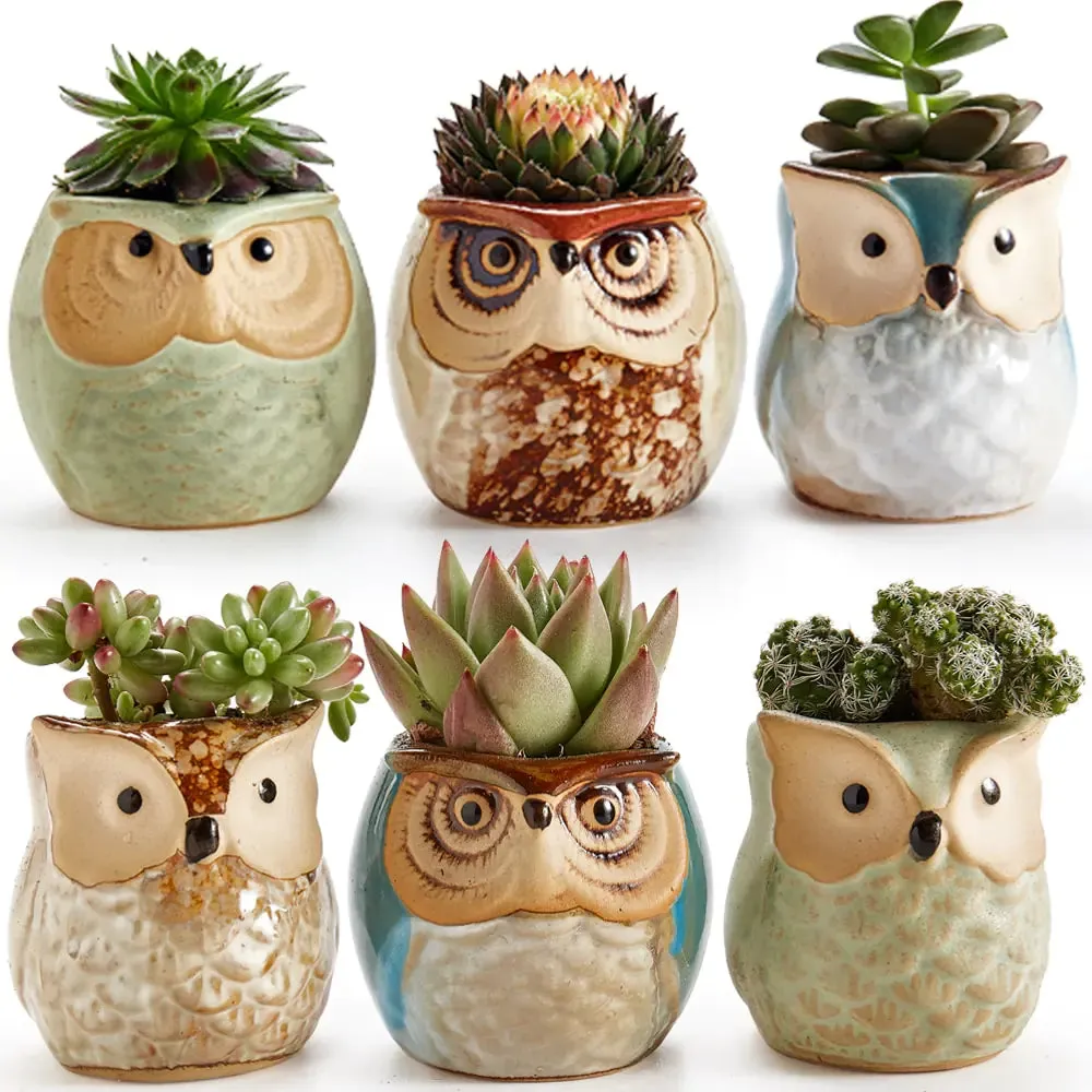 6-Piece Owl Pot Ceramic Glaze Base Set - Whimsical Home Decor for Plant Lovers