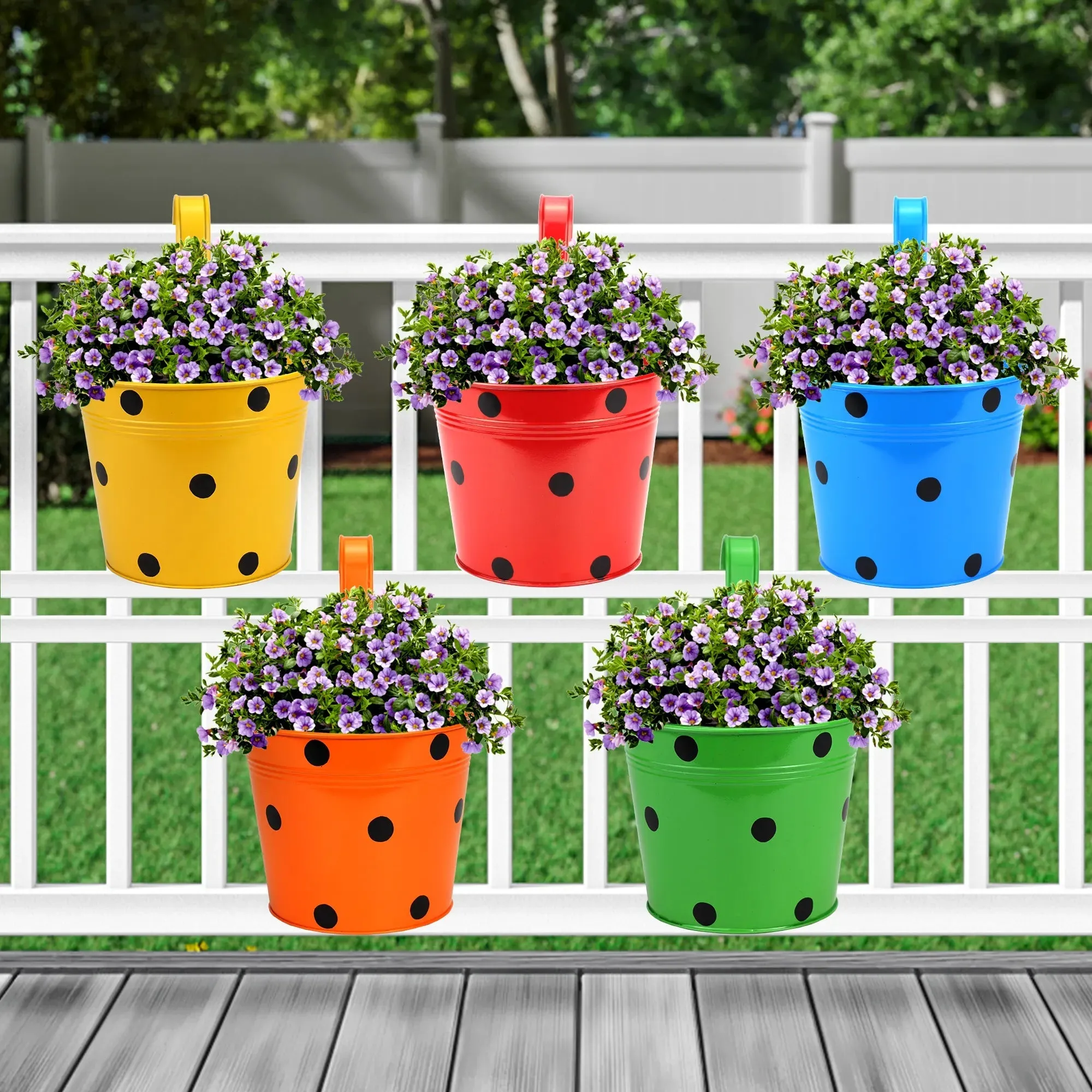 Colorcrest Hanging Planters - (Set of 5)