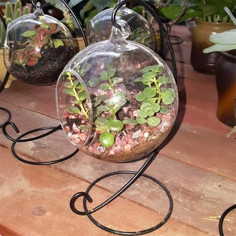 Creative Clear Glass Ball Vase