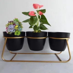 Homestic Planter|Flower Pot for Indoor|Decorative Planter Basket|Home Décor Flowers Pot|Flower Planter for Office Décor|Balcony Flower Pot|3 Planter with Golden Stand|1129-A|Black