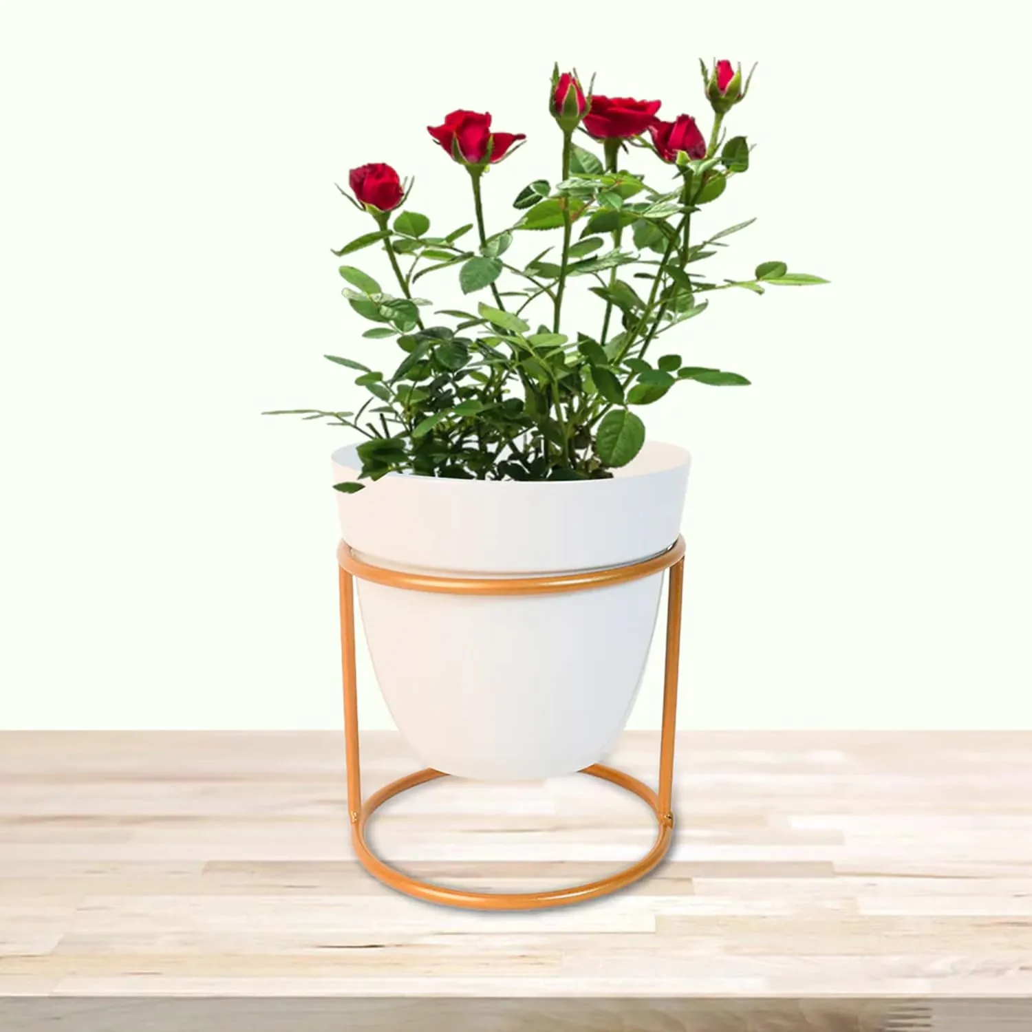 Kuber Industries Planter | Flower Planter for Office Décor | Balcony Flower Pot | Home Décor Flowers Pot | Decorative Planter Basket | Desktop Planter with Golden Stand | 1129-B | White