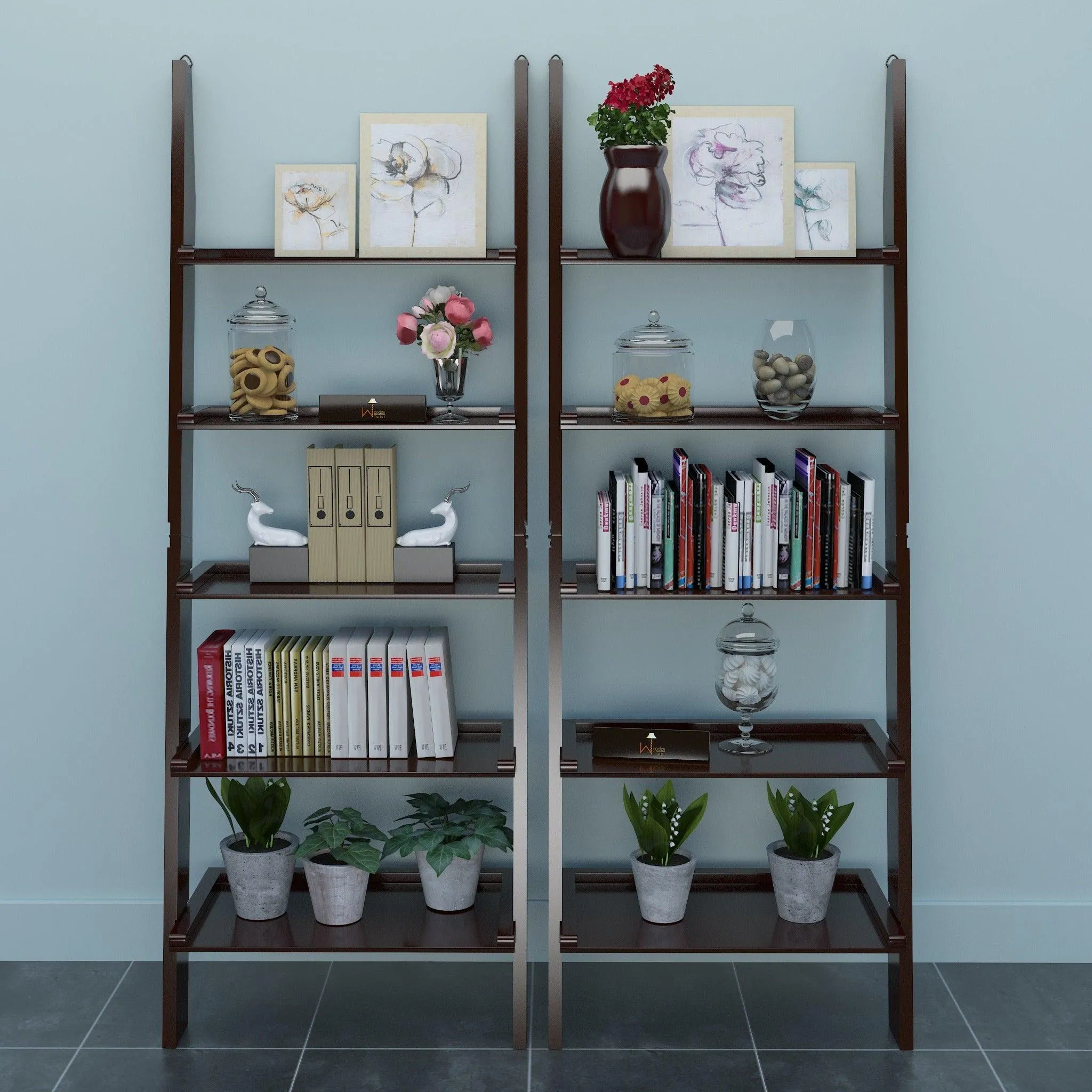 Leaning Bookcase Ladder and Room Organizer Engineered Wood Wall Shelf -Set of 2