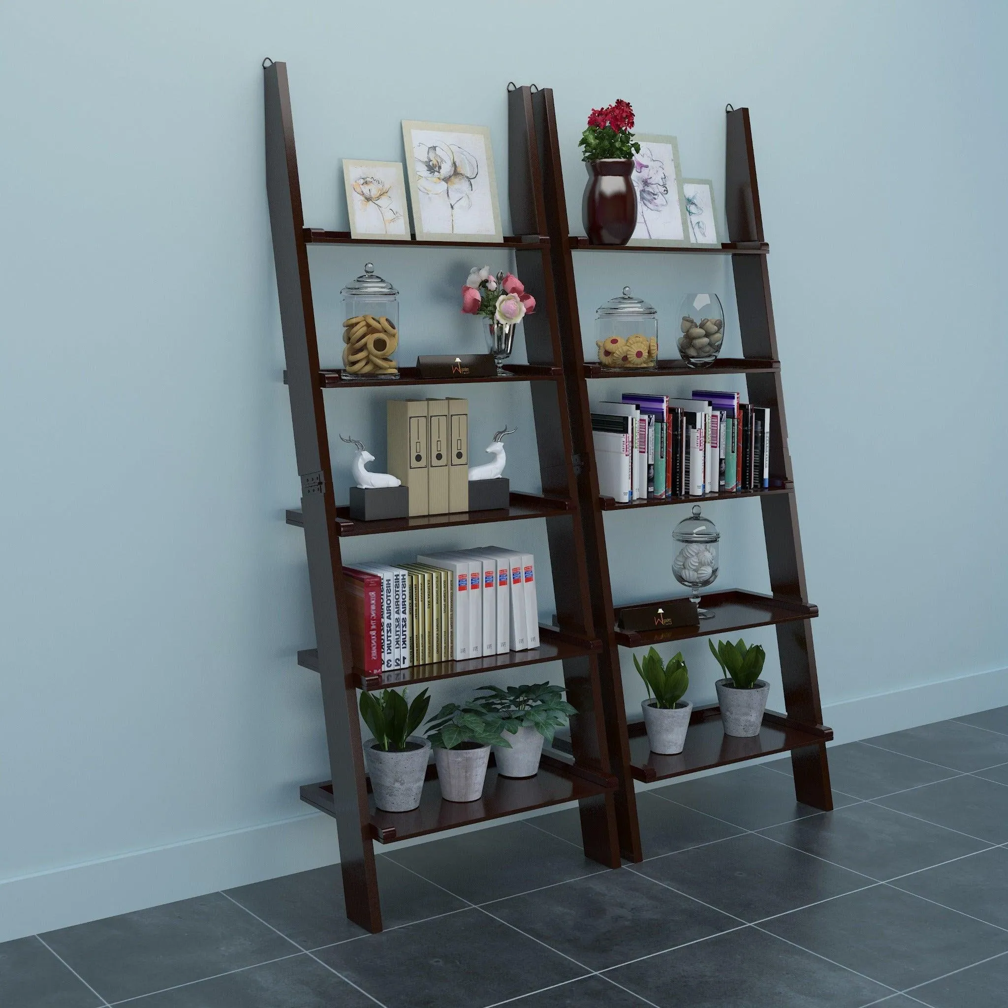 Leaning Bookcase Ladder and Room Organizer Engineered Wood Wall Shelf -Set of 2