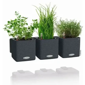 Lechuza PURO CUBE Triple Wall Planter Kit