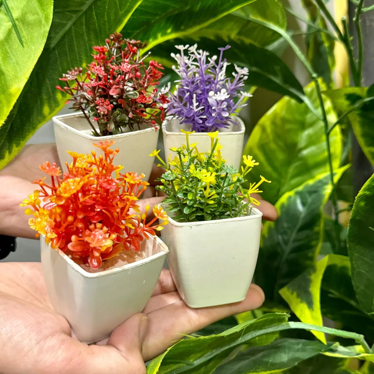 Set of 4 Mini Cute plants