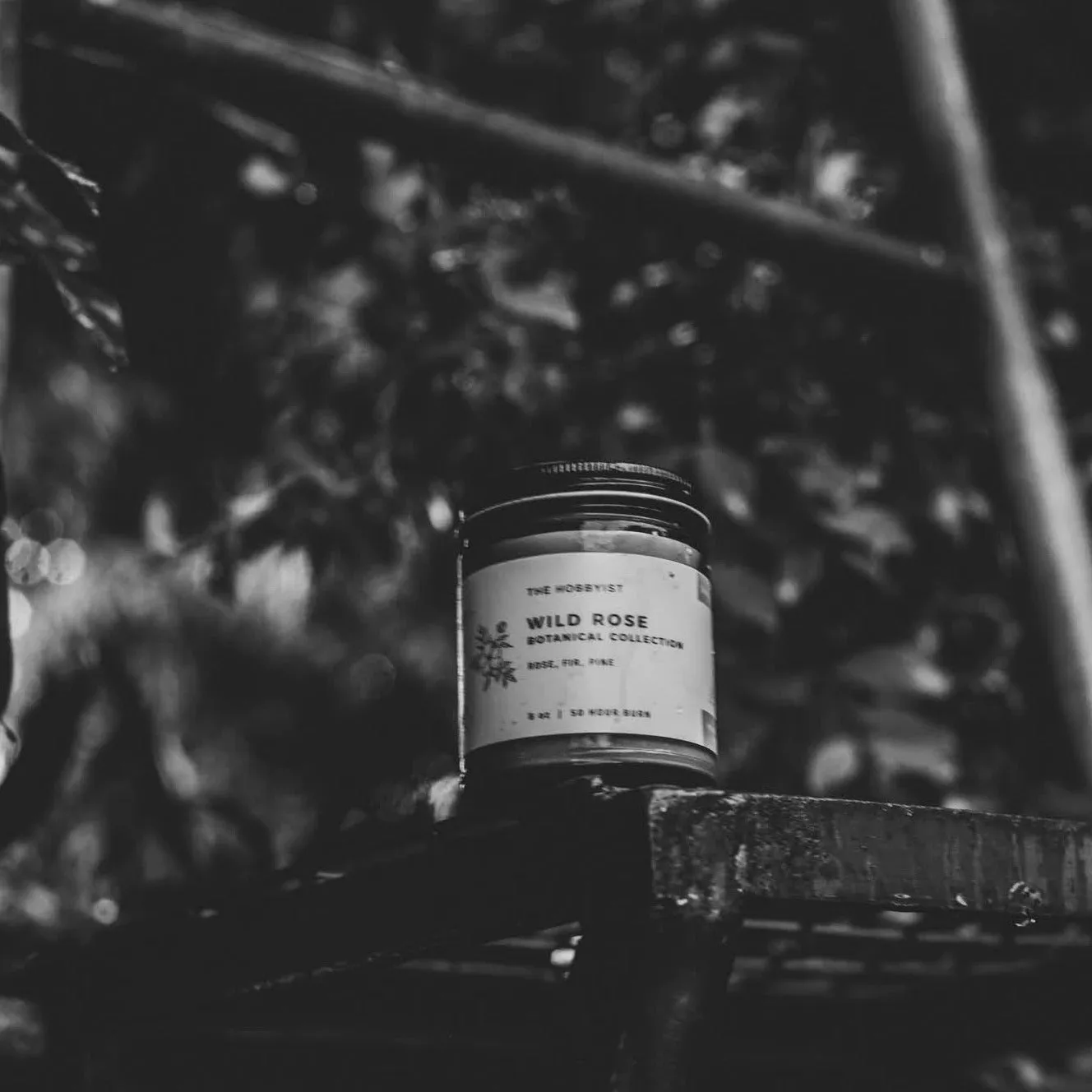 Wild Rose | Botanical Candle